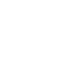 seoul-bird-logo-white