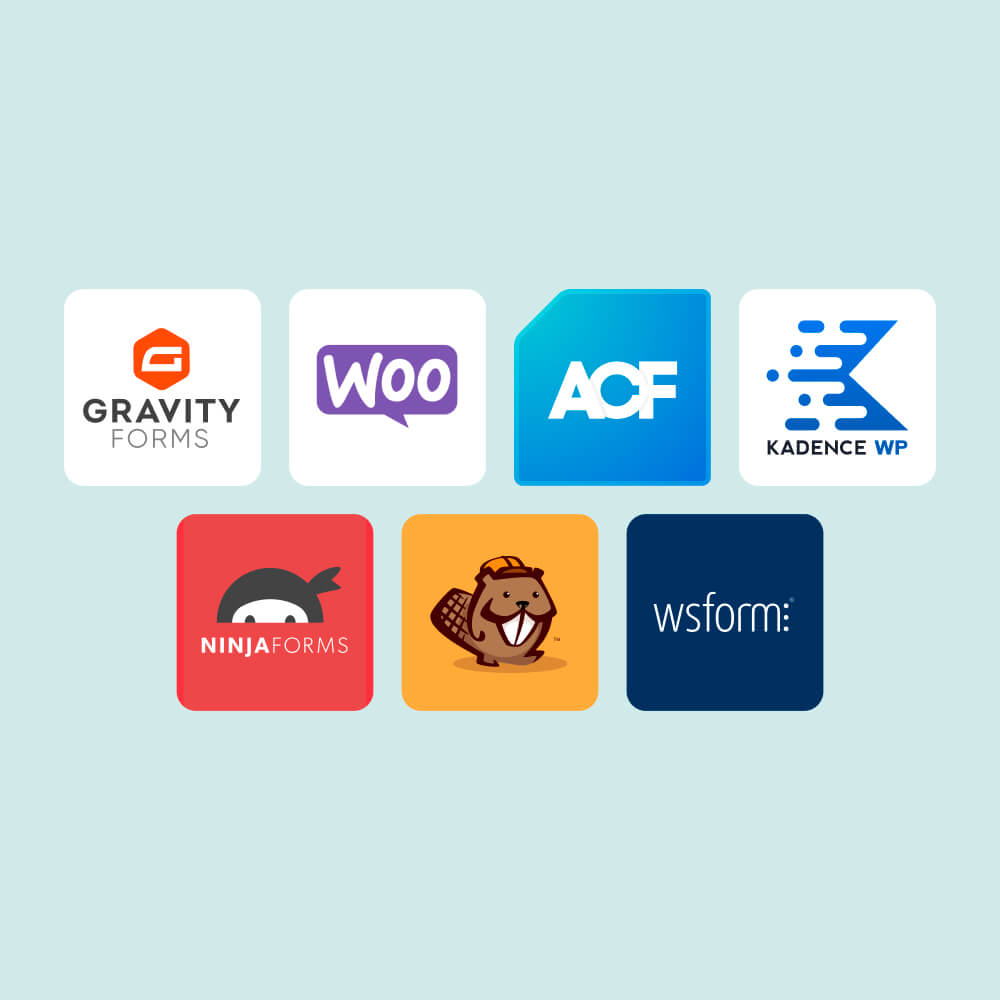 Logos of seven WordPress plugins, including Gravity Forms, WooCommerce, Advanced Custom Fields, Kadence WP, Ninja Forms, Beaver Builder, and WS Form, arranged in a grid.